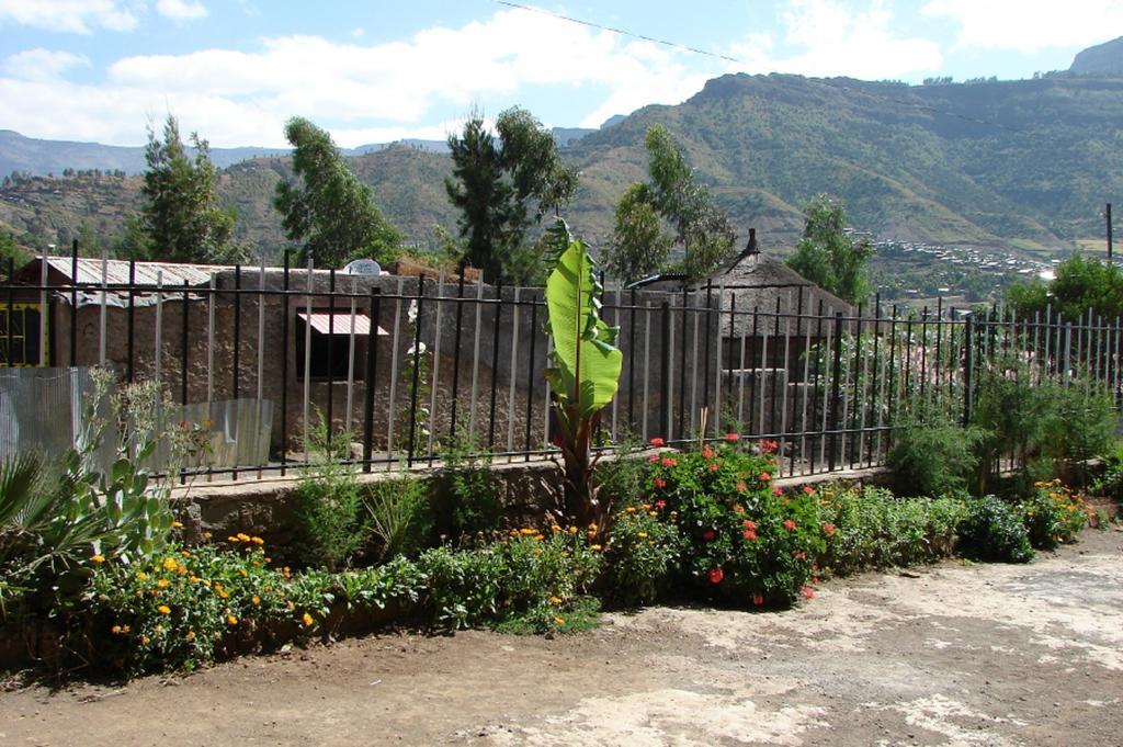Villa Lalibela Guesthouse 객실 사진